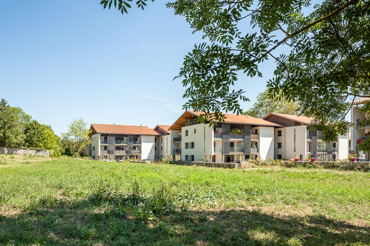 Photographie d'architecture d'une vue arrière avec branches d'arbres du parc